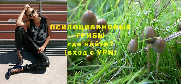 трава Нягань