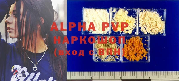 индика Новозыбков