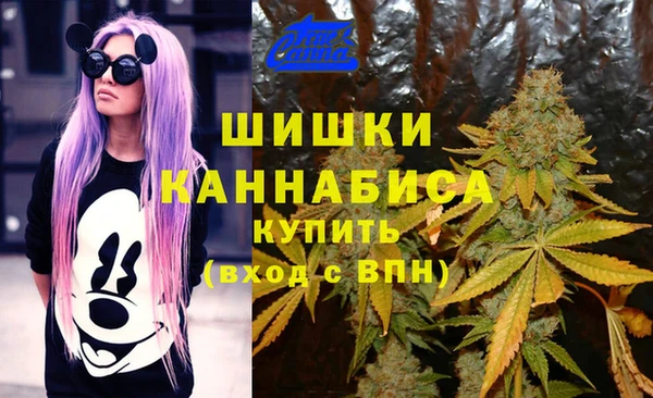 альфа пвп Няндома