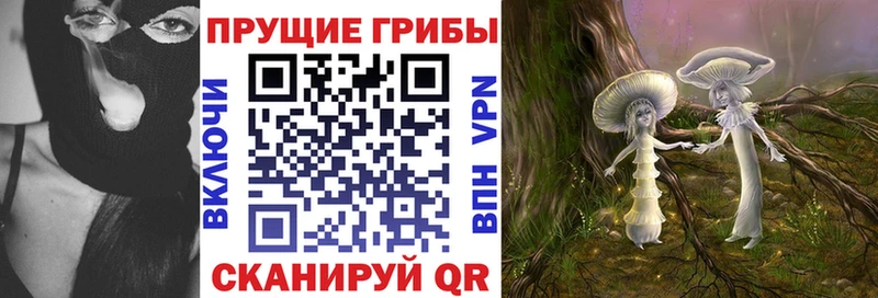 Псилоцибиновые грибы мицелий  наркотики  Николаевск 